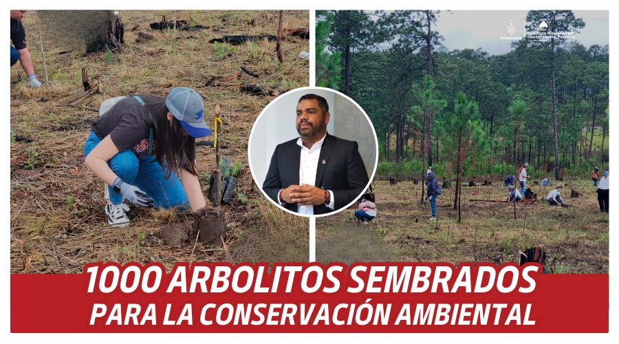 1000 arbolitos sembrados para la conservación ambiental