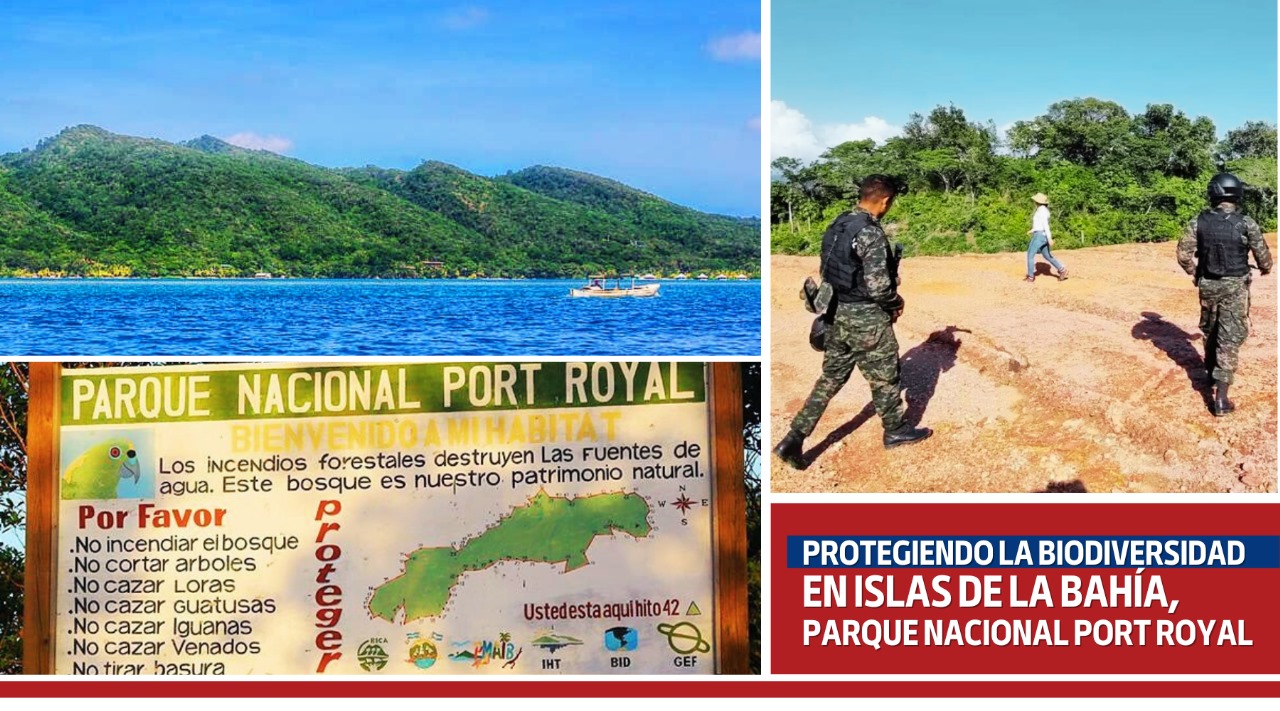 ICF y la Fuerza Naval de Honduras unen esfuerzos para patrullar el Parque Nacional Port Royal