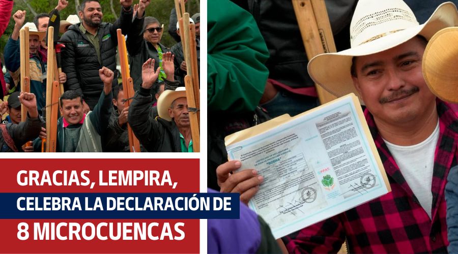 8 Microcuencas declaradas en Gracias, Lempira