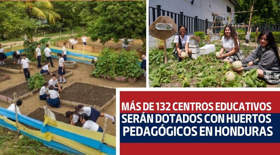 Huertos pedagógicos en Honduras