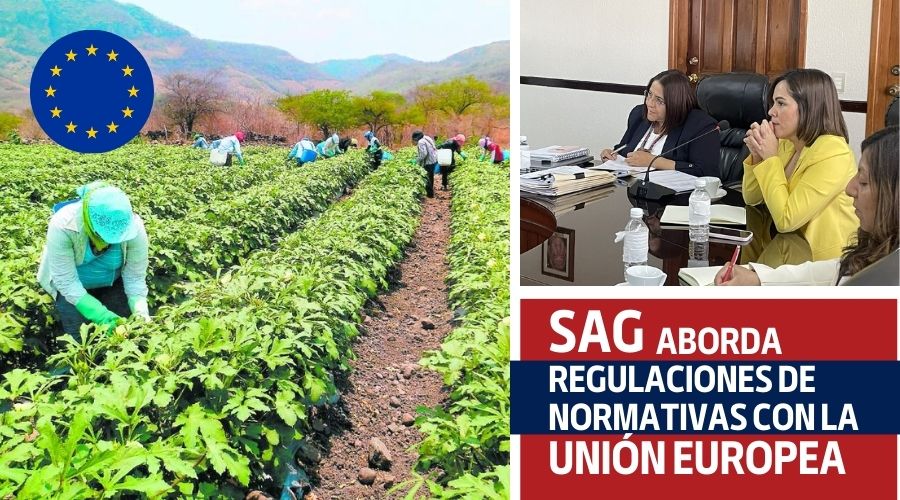 Regulaciones de normativas con la Unión Europea