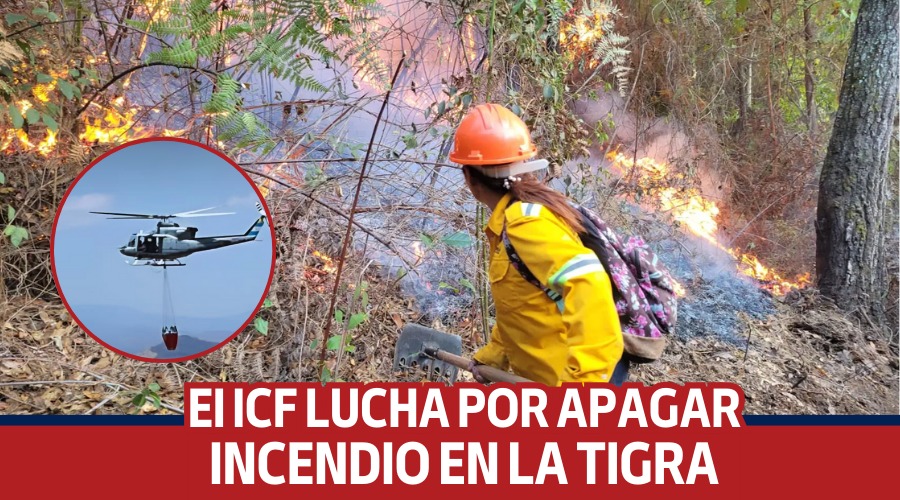 El ICF lucha por apagar incendio en la Tigra