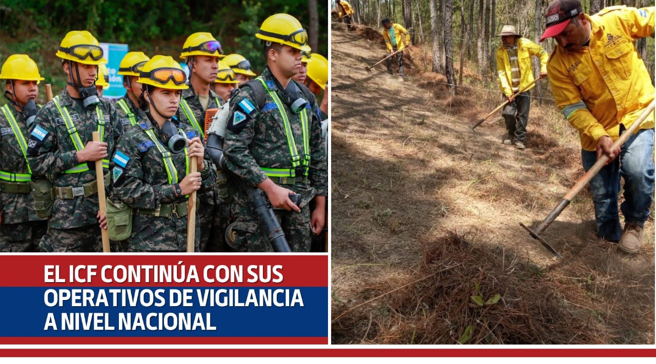 El ICF continúa con sus operativos de vigilancia