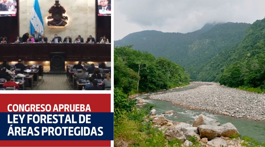 Ley Forestal de Áreas protegidas aprobada