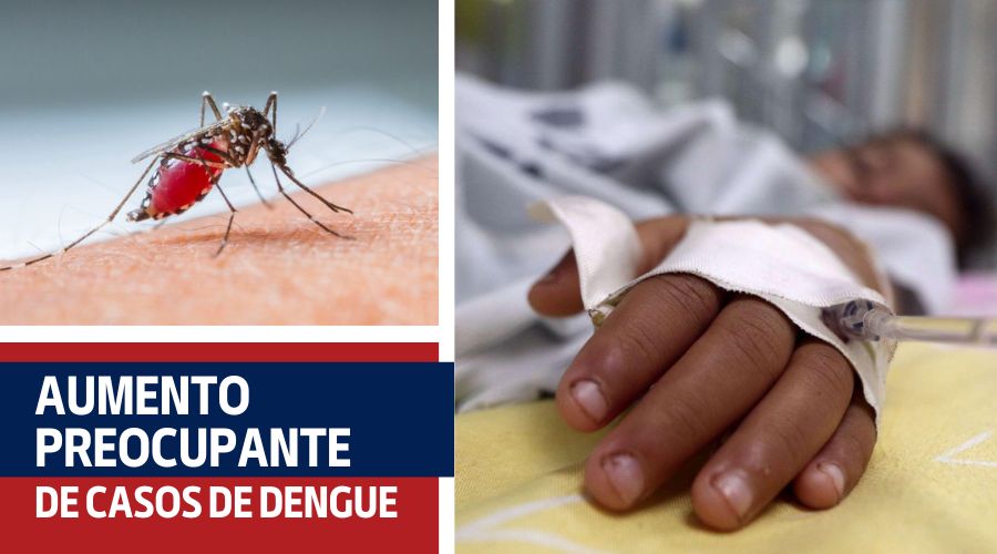 Aumento preocupante de casos de dengue