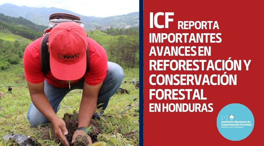 Avances de la Reforestación y Conservación ICF