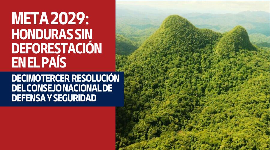 Meta 2029: Honduras sin Deforestación