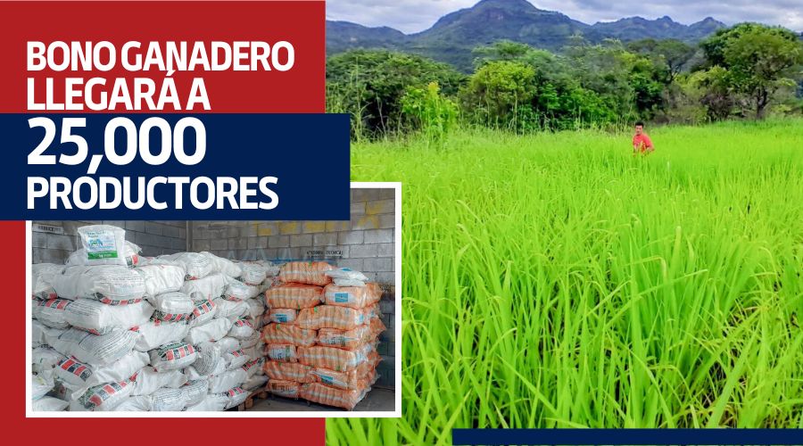Bono Ganadero llegará a 25,000 Productores