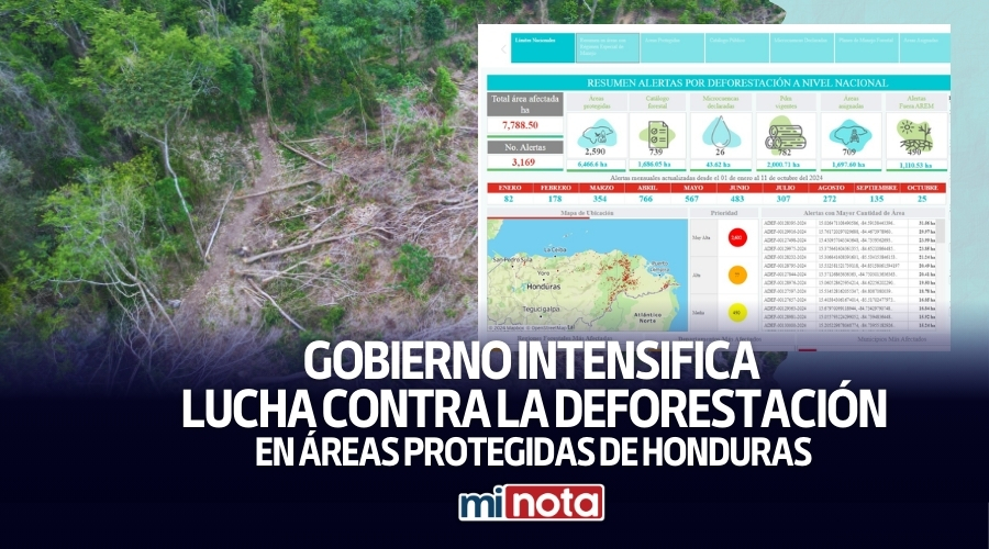 Gobierno enfrenta deforestación en áreas protegidas