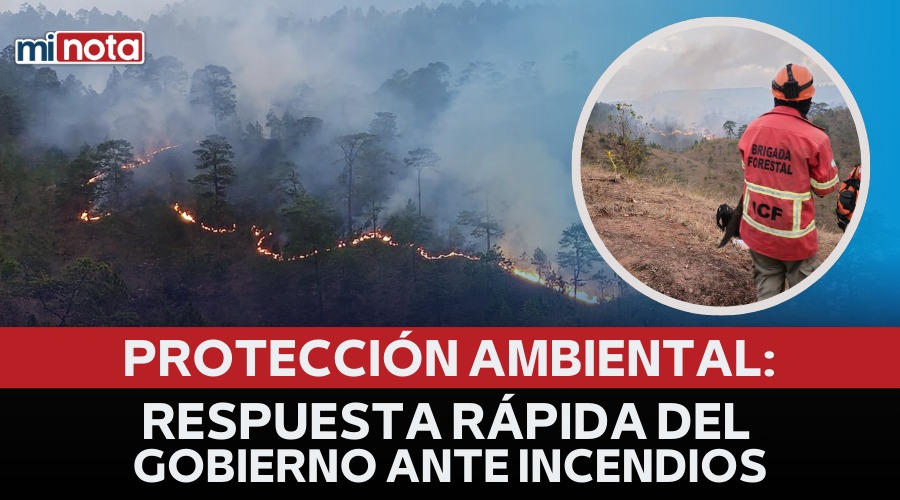 Protección ambiental: respuesta rápida del gobierno ante incendios