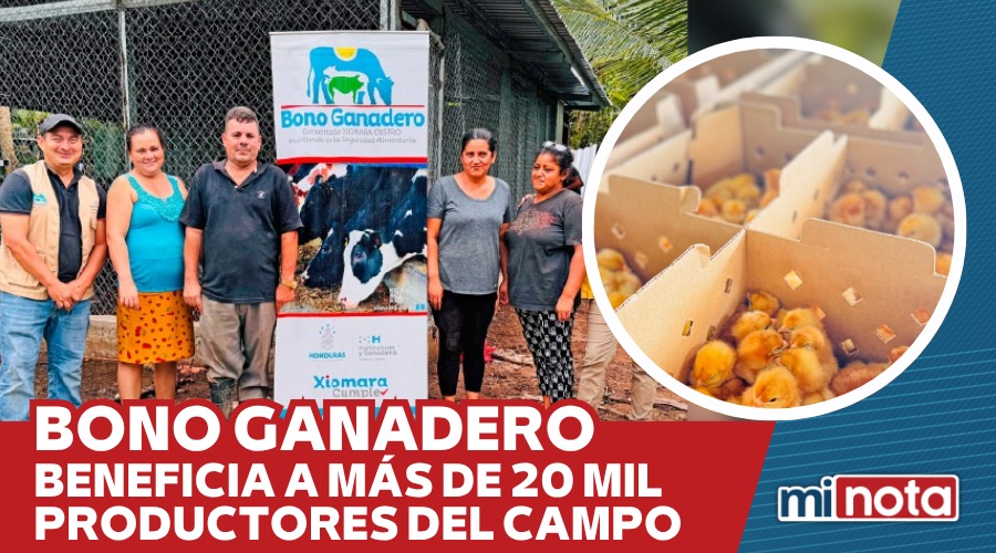 BONO GANADERO BENEFICIA A MÁS DE 20 MIL PRODUCTORES