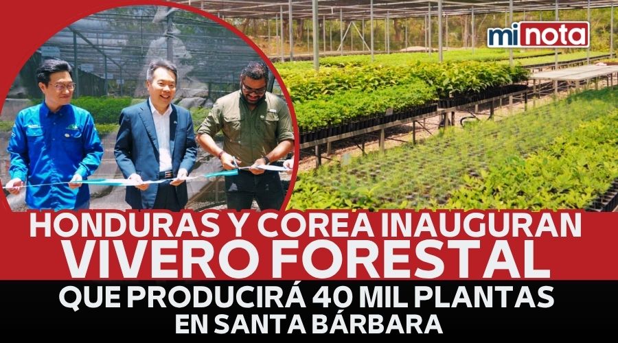 HONDURAS Y COREA INAUGURAN VIVERO QUE PRODUCIRÁ 40 MIL PLANTAS EN SANTA BÁRBARA