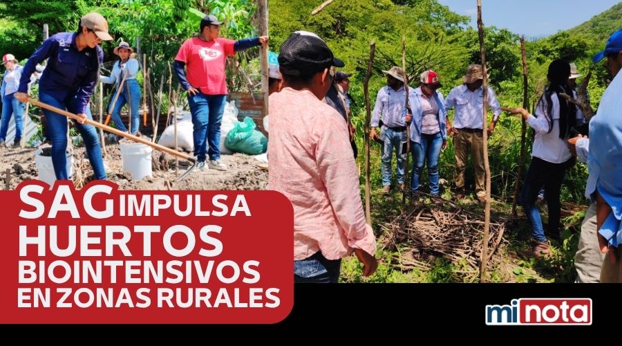 SAG IMPULSA HUERTOS BIOINTENSIVOS EN ZONAS RURALES