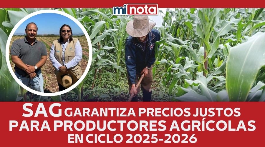 SAG GARANTIZA PRECIOS JUSTOS PARA PRODUCTORES AGRÍCOLAS EN 2025-2026
