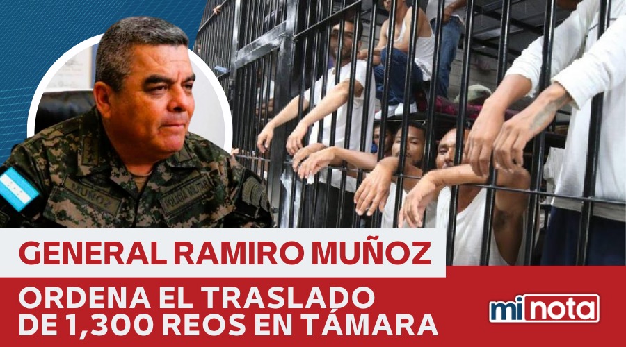 TRASLADO DE 1,300 REOS  DE CASA BLANCA EN TÁMARA