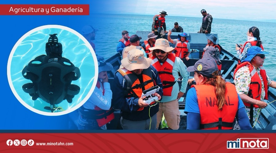 SAG-DIGEPESCA  con manejo de robots submarinos