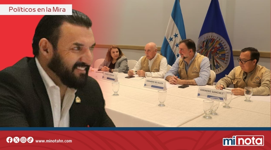 Rasel Tomé advierte a la OEA del bipartidismo