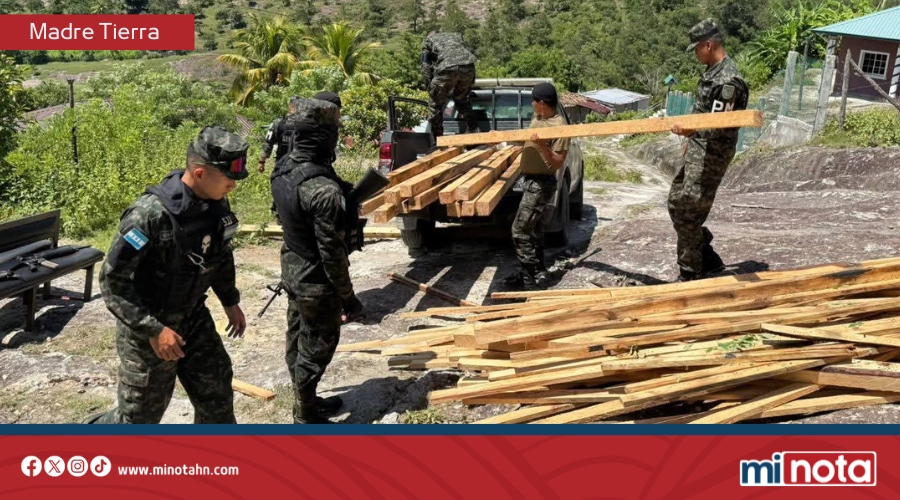 FF. AA. decomisan madera aserrada ilegalmente en Santa Bárbara