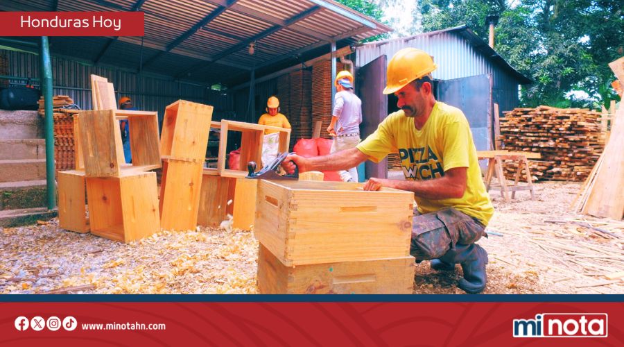 SECTOR FORESTAL HONDUREÑO GENERA MÁS DE $26 MILLONES EN DIVISAS GRACIAS A MANEJO LEGAL Y SOSTENIBLE
