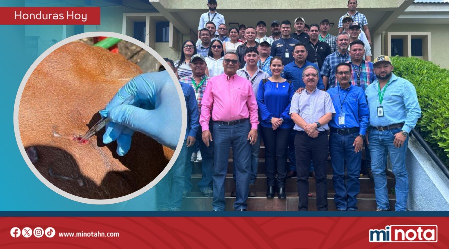 OIRSA y SENASA impulsan taller para detectar y controlar la mosca del gusano barrenador