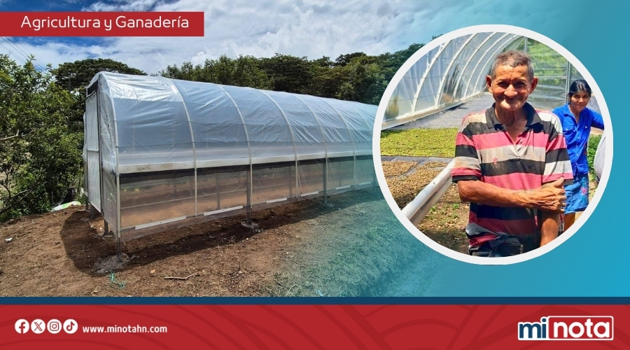 Gobierno de LIBRE entrega secadoras solares a agricultores