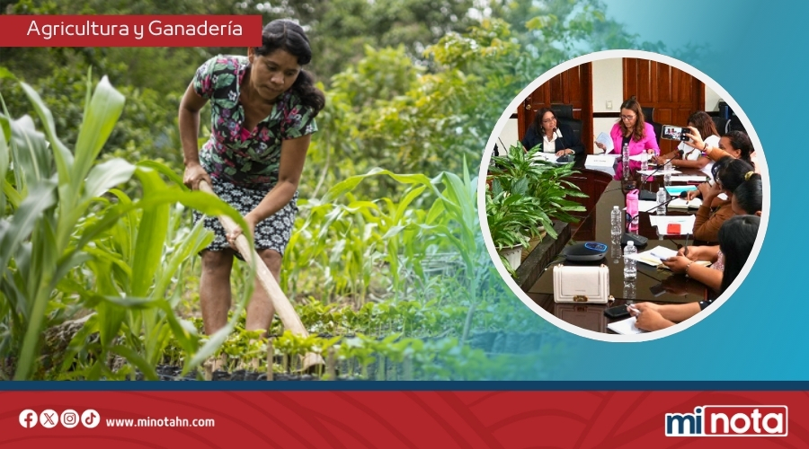 Gobierno de LIBRE crea Mesa de la Mujer Rural como motor de desarrollo