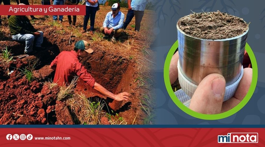 HONDURAS AVANZA EN LA CONSTRUCCIÓN DEL PRIMER SISTEMA DE INFORMACIÓN DE SUELOS