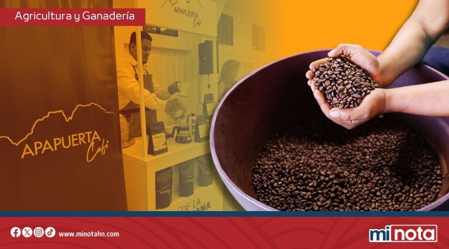 HONDURAS SERÁ SEDE DEL ENCUENTRO MUNDIAL DEL CAFÉ