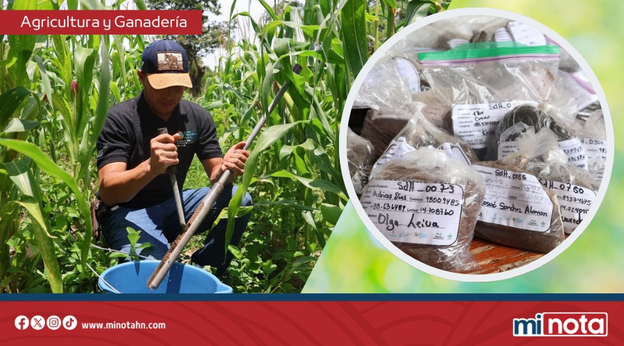 PRIMER SISTEMA DE SUELOS DE HONDURAS AVANZA EN UN 70%