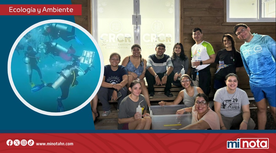 ICF PARTICIPA EN EL TALLER “JUNTOS POR LOS ARRECIFES” EN ROATÁN