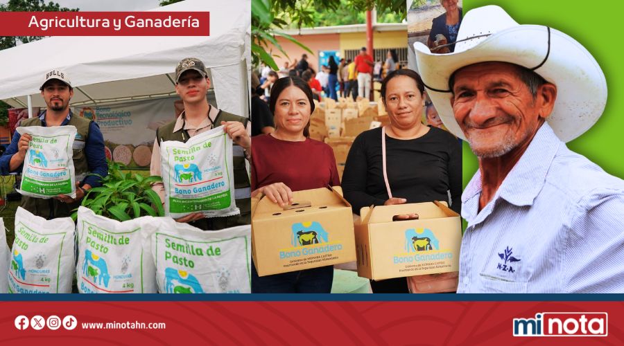 Gobierno de LIBRE beneficia a 1,500 productores en Talanga con BTP