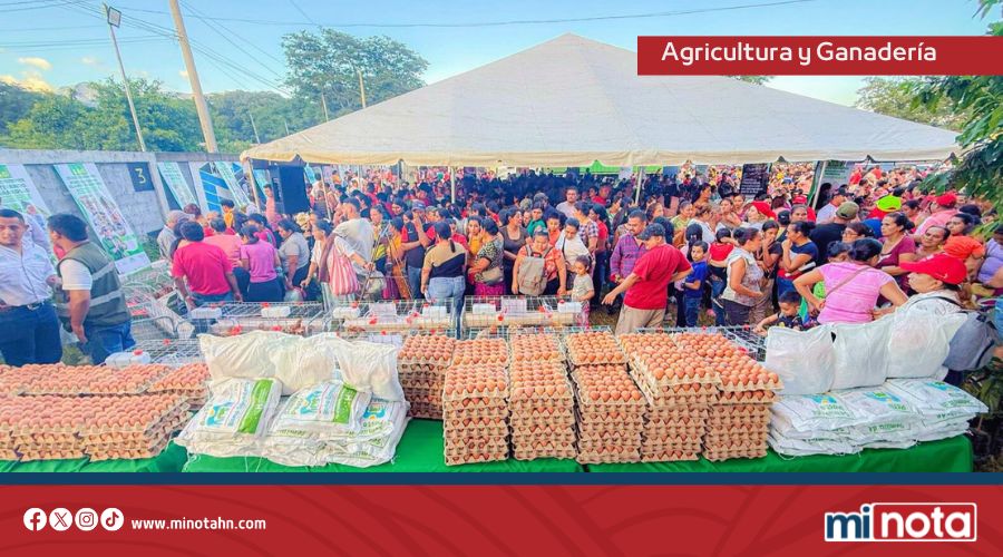 Más de 1,000 familias se benefician con los bonos tecnológicos y ganaderos en Cofradía, Cortés