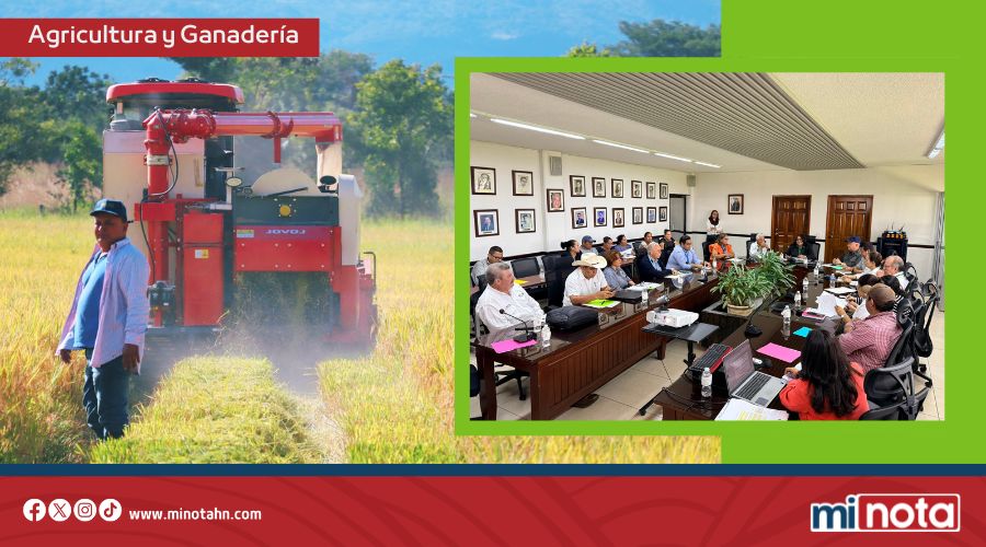 SAG impulsa desarrollo rural familiar y seguridad alimentaria