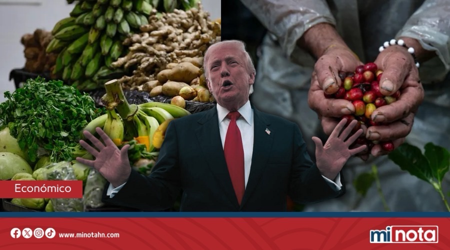 Estados Unidos reduce aranceles a productos agrícolas de Honduras