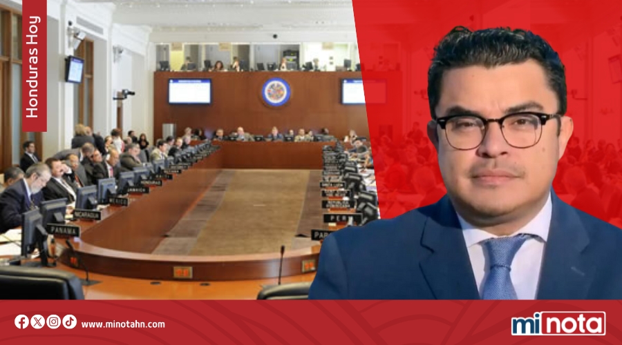 Vicecanciller acusa injerencia y «hackeo» en elecciones ante la OEA